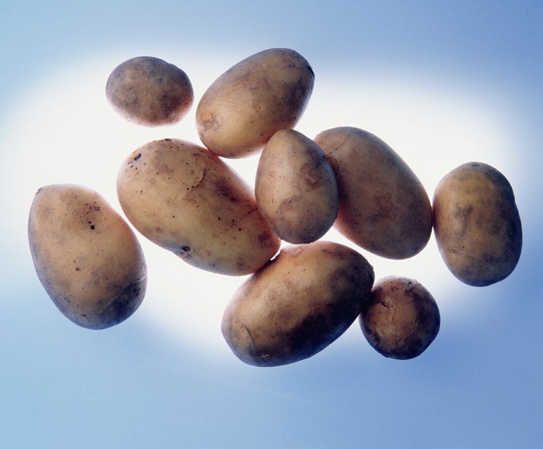 Einige Kartoffeln vor blau-weißem Licht