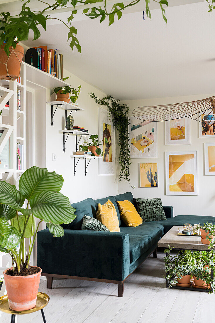 Many foliage plants, modern art on the wall and sofa in the living room