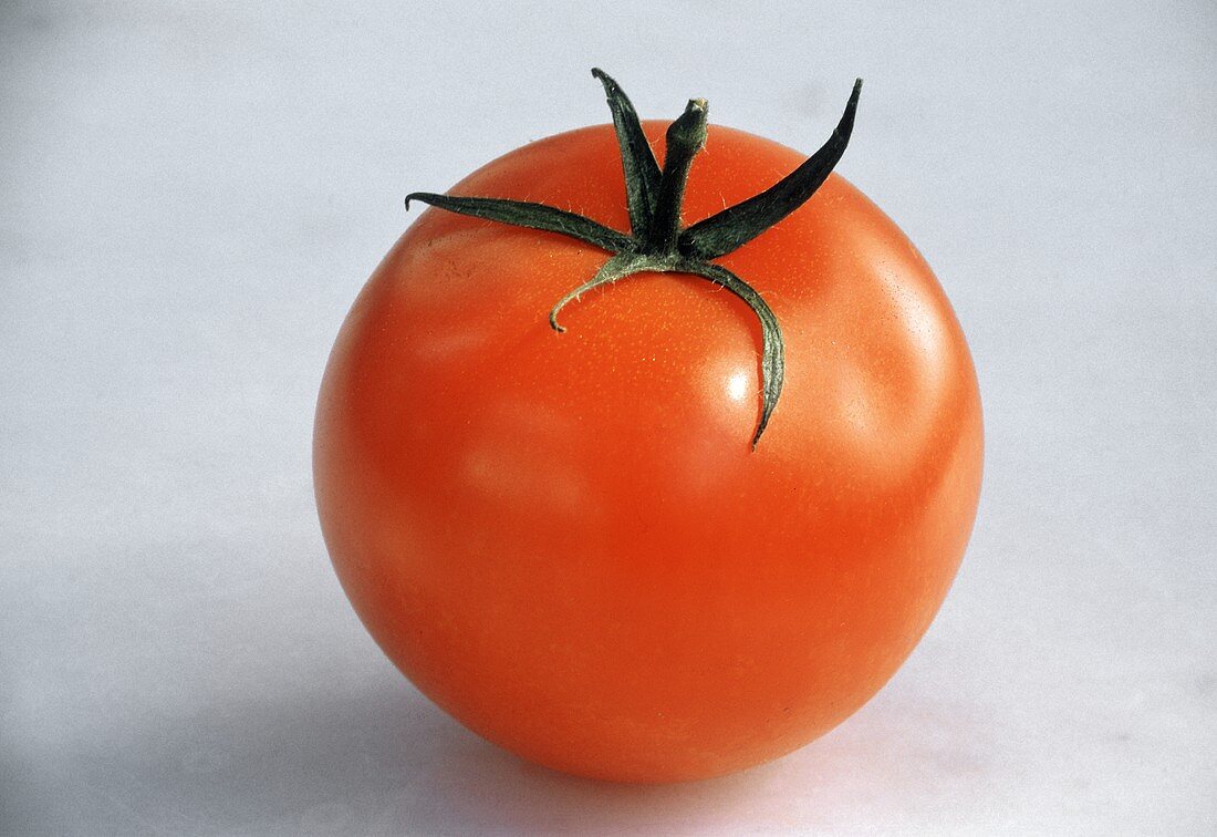 Eine Tomate