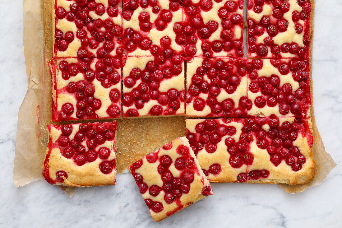 Yoghurt currant cake from the tray