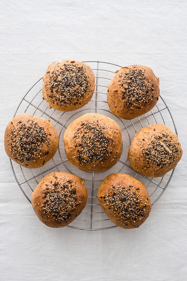 Appetizing similar round buns with brown surface and soft structure covered with crispy sesame seeds