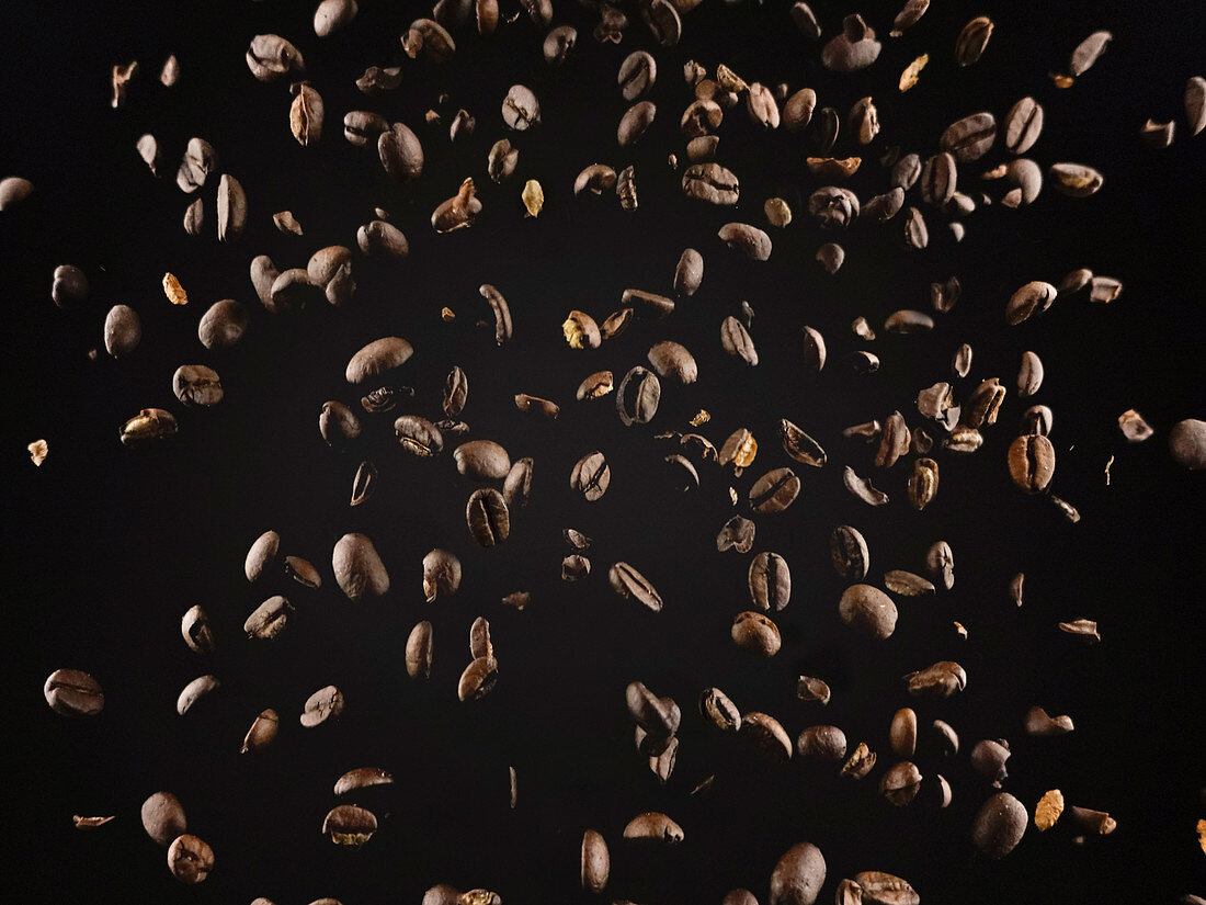 Fallende Kaffeebohnen vor schwarzem Hintergrund