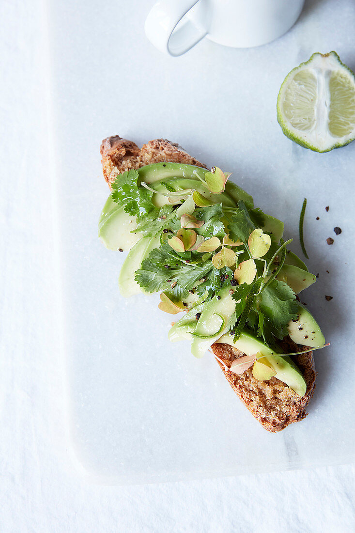 Avocado tartine with fresh herbs