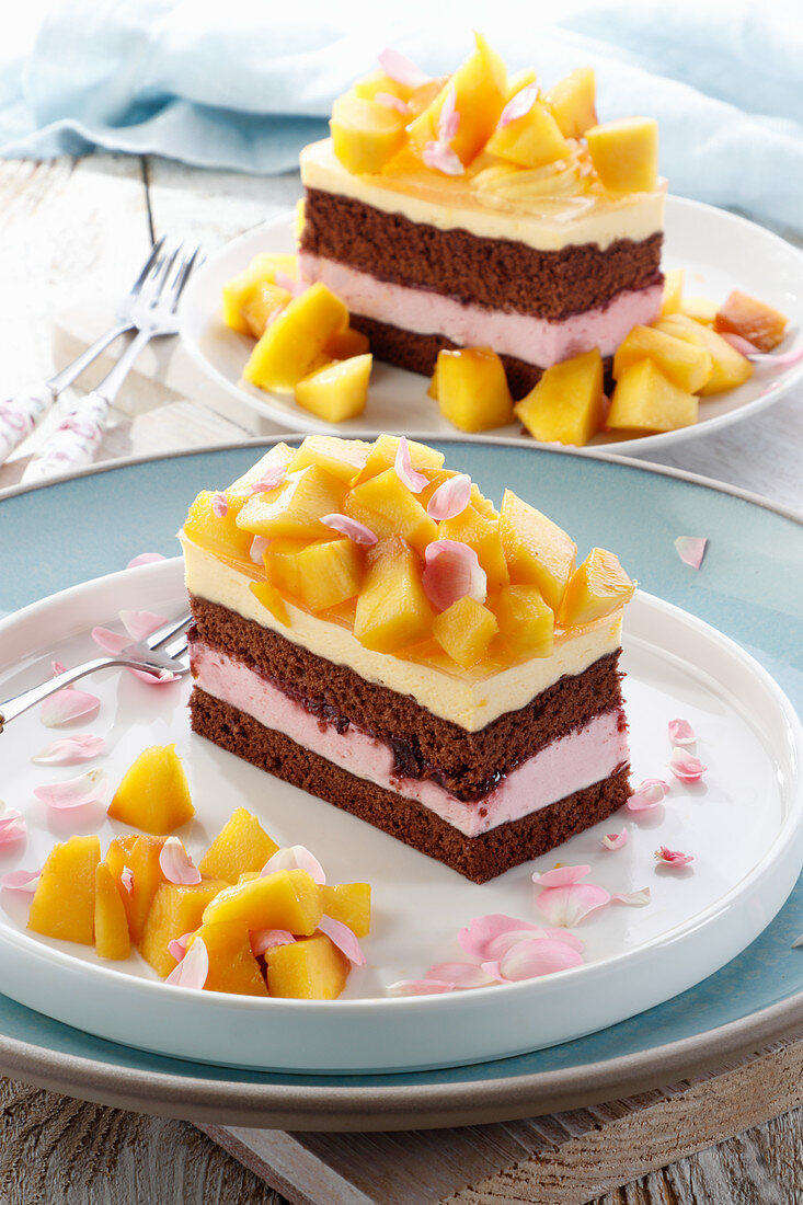 Passion Fruit, Mango And Chocolate Mousse Cake Recipe - Dessert School