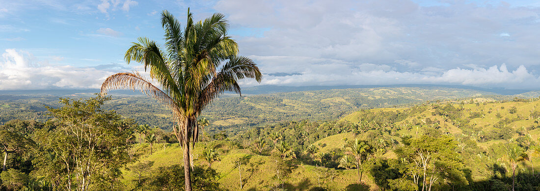 Valle El Coto Brus, Costa Rica, Central America
