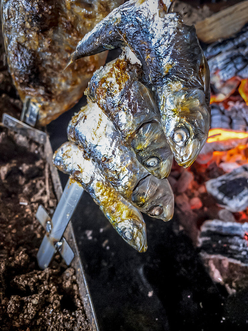 Grilled sardines