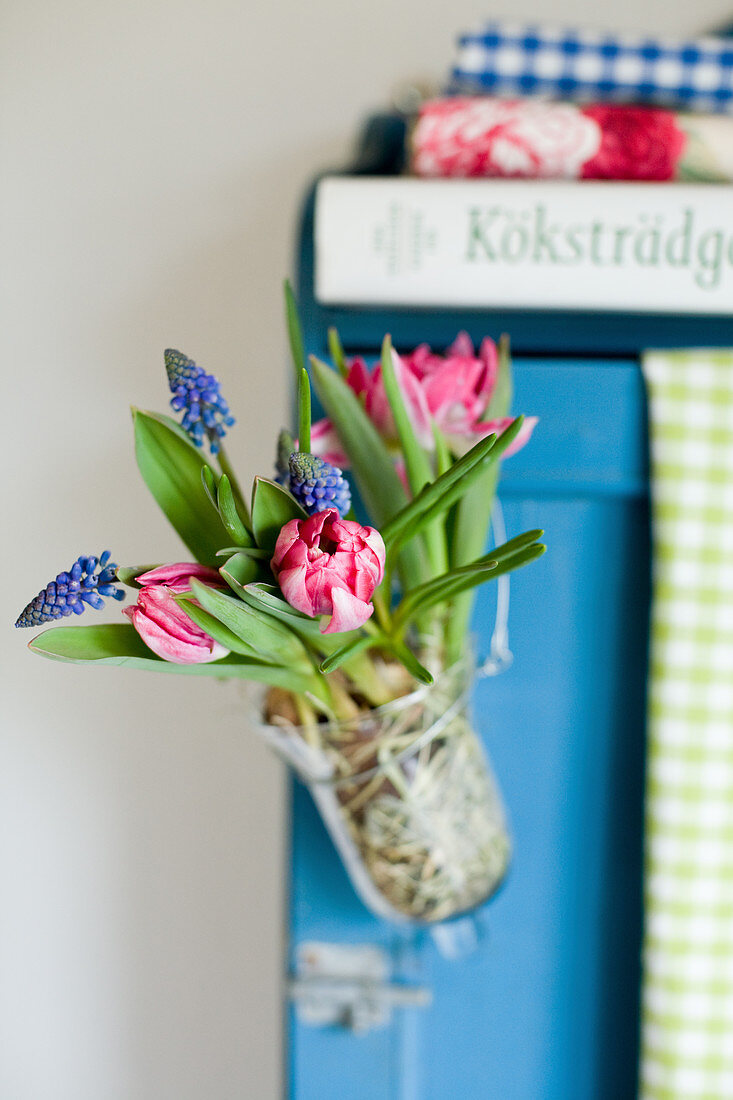 Tulips and grape hyacinths in suspended vase