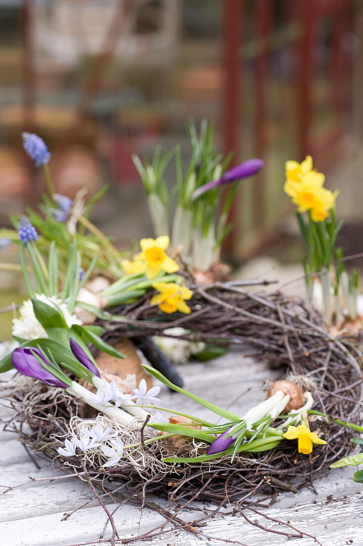 Wreath with grape hyacinths, hyacinths, narcissus, crocus and star-of-Bethlehem on garden table