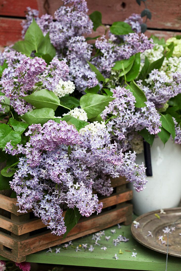 Basket of lilac