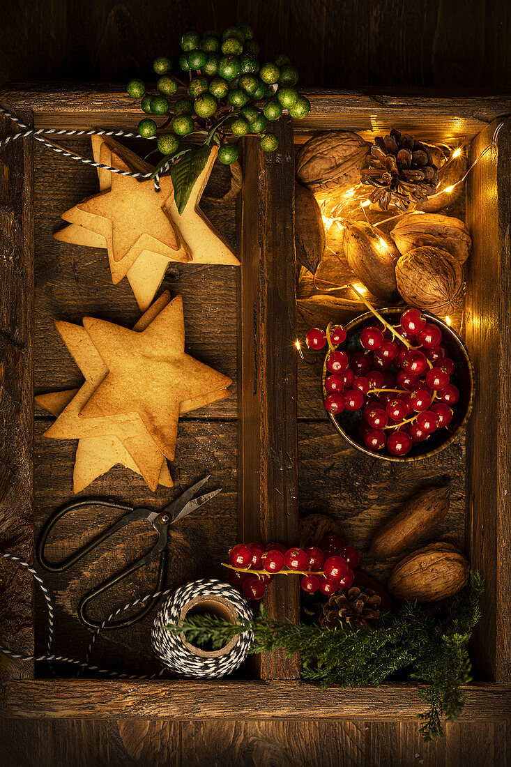 Cookies in shape of star and red berries for Christmas