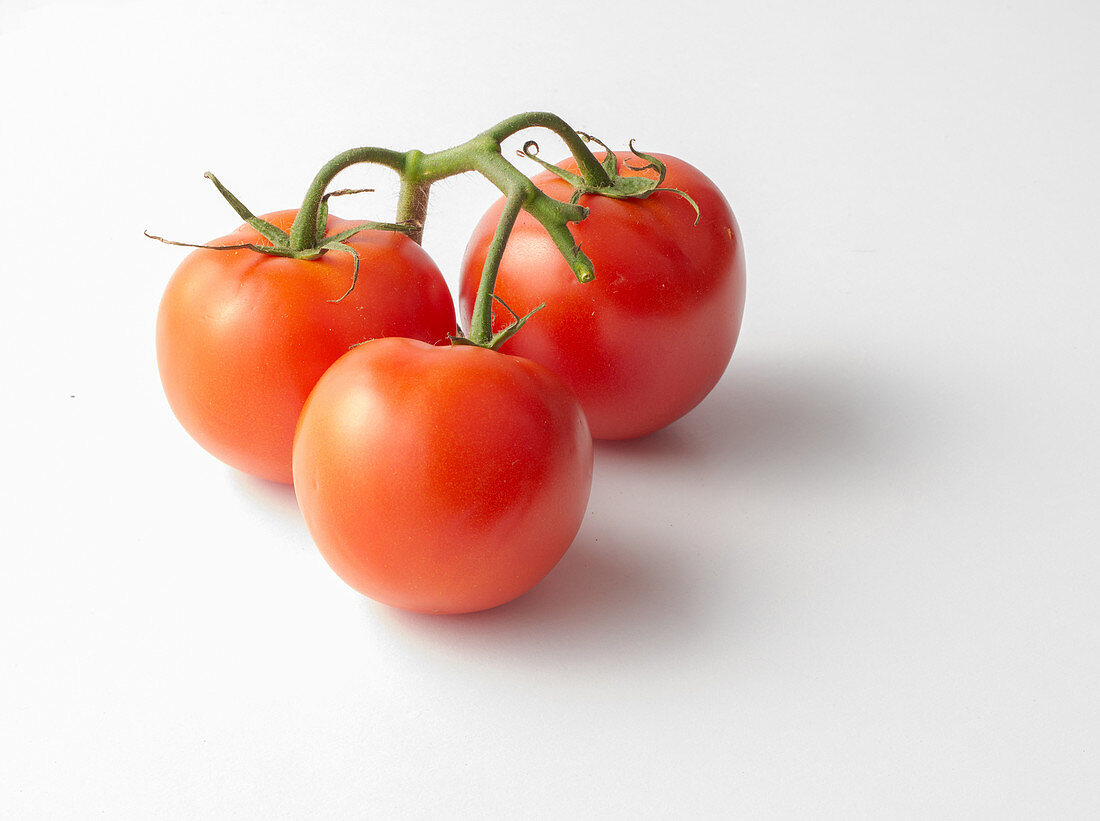 Tomaten der Sorte 'Ramato'
