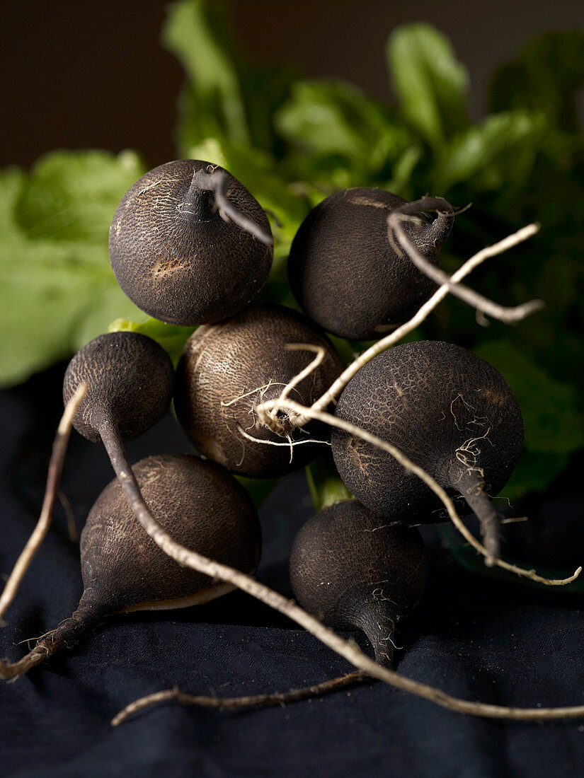 A bunch of black radishes
