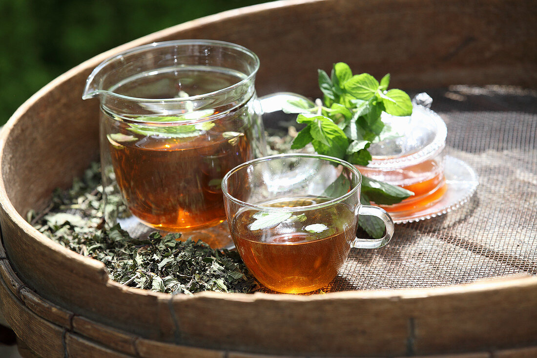 Mint tea in a glass jug and cup with dried leaves