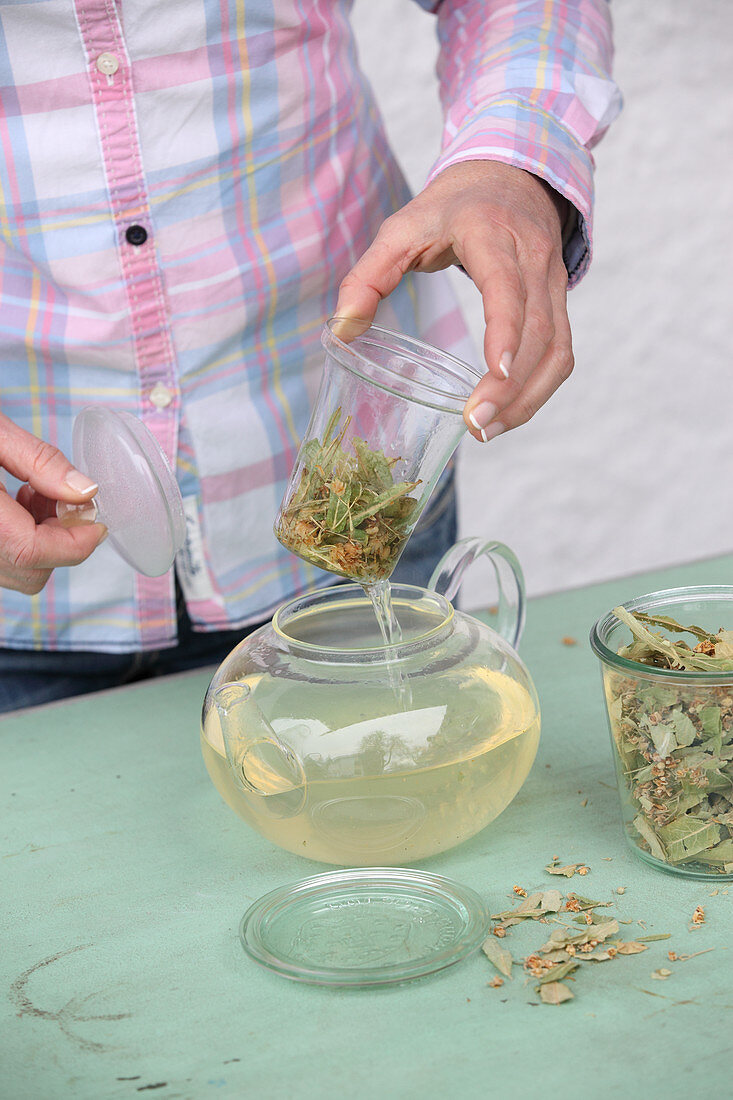 Lifting a glass filter with linden blossom tea out of a teapot