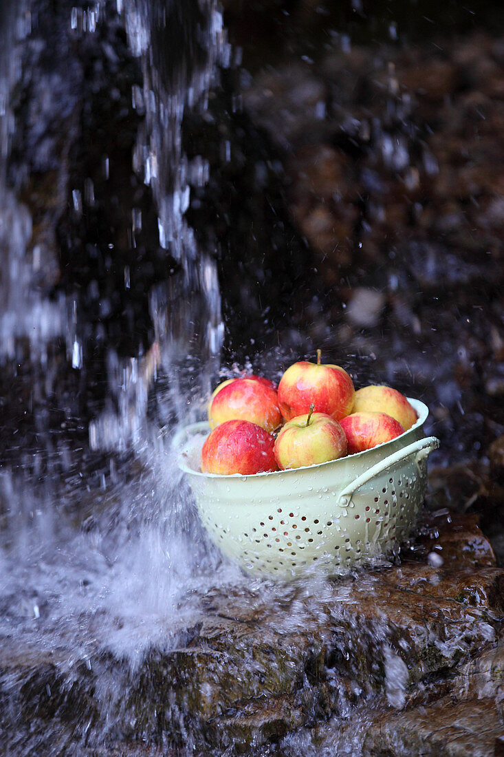 Äpfel in Emaillesieb an natürlicher Quelle