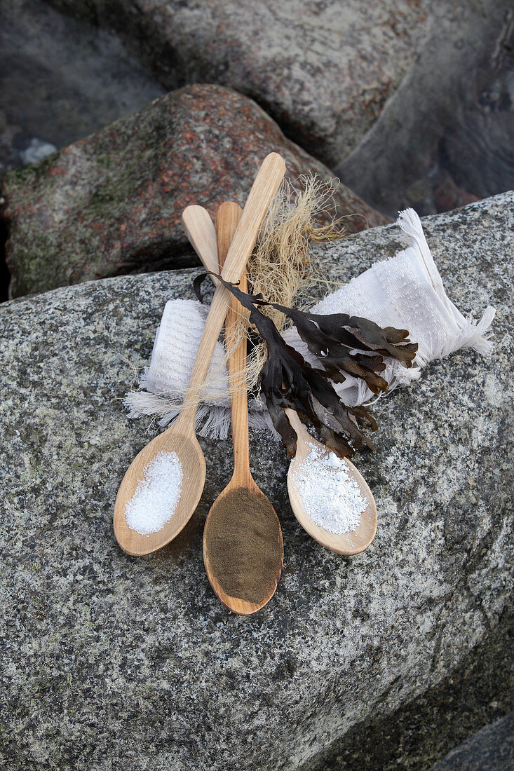 Drei Holzlöffel mit Salz und Algenpulver auf Felsen