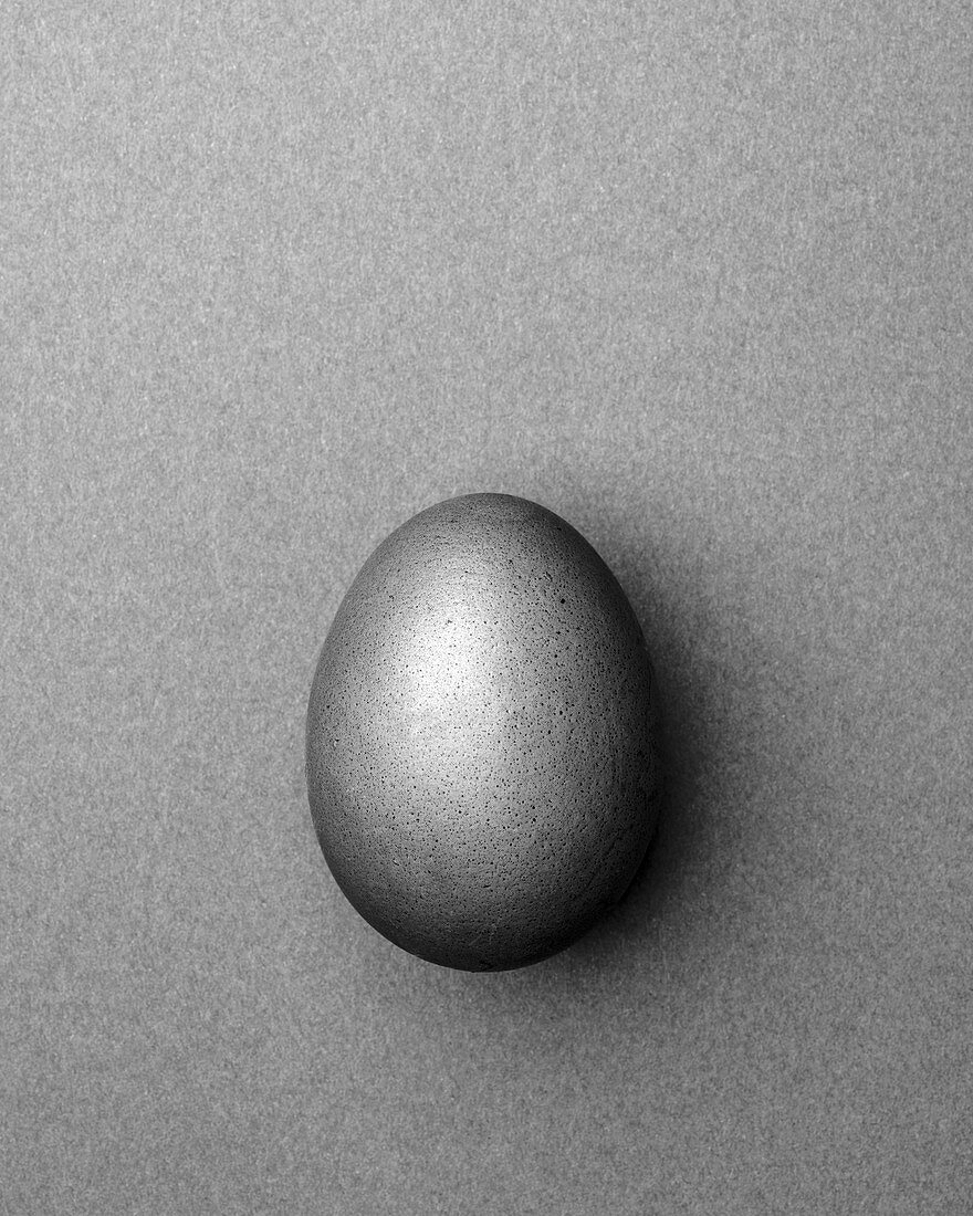 Light gray Easter egg on a light gray background