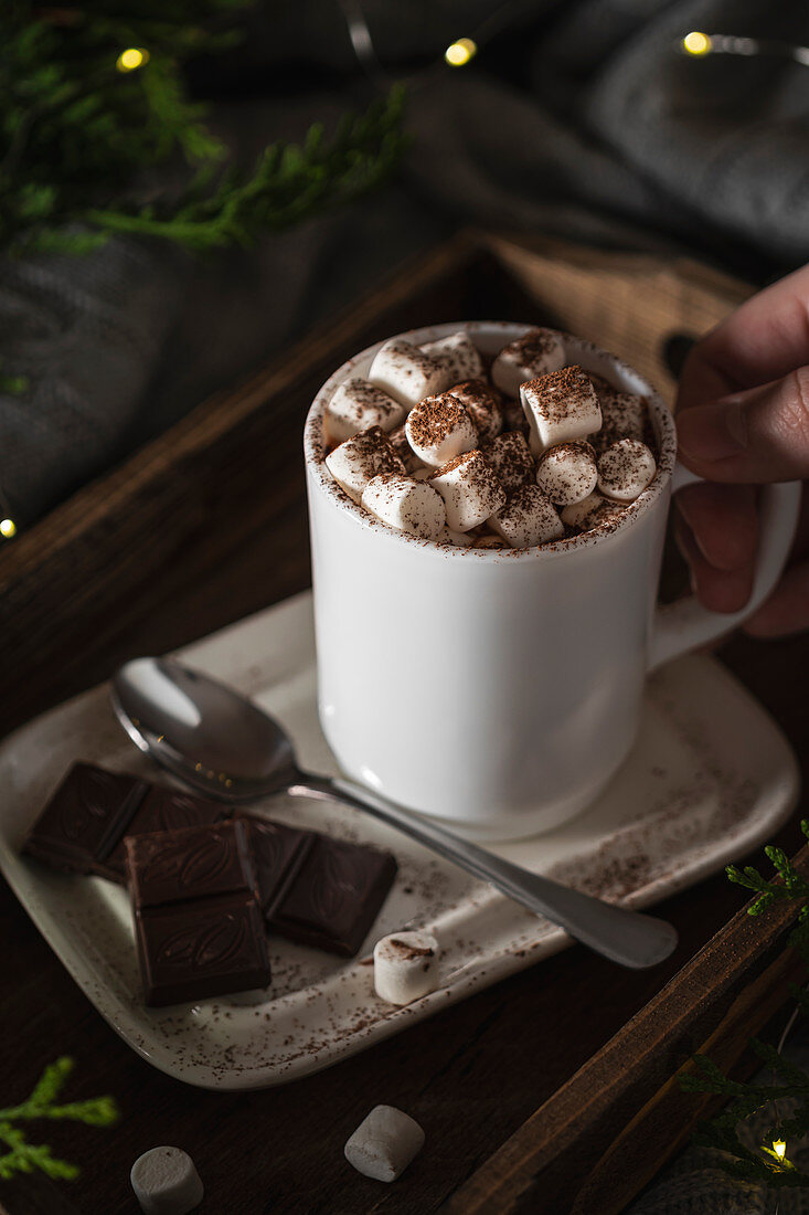 Hand holding a cup of hot drink with marshmallow with Christmas lights