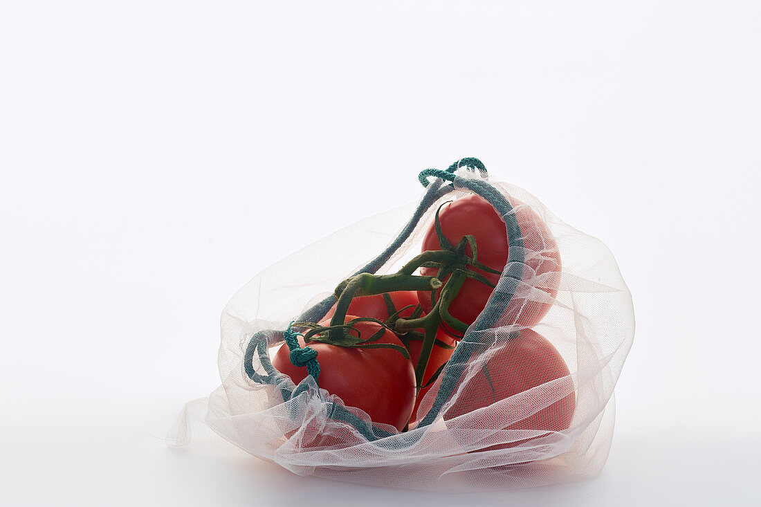 Tomatoes in net mesh bag on white background