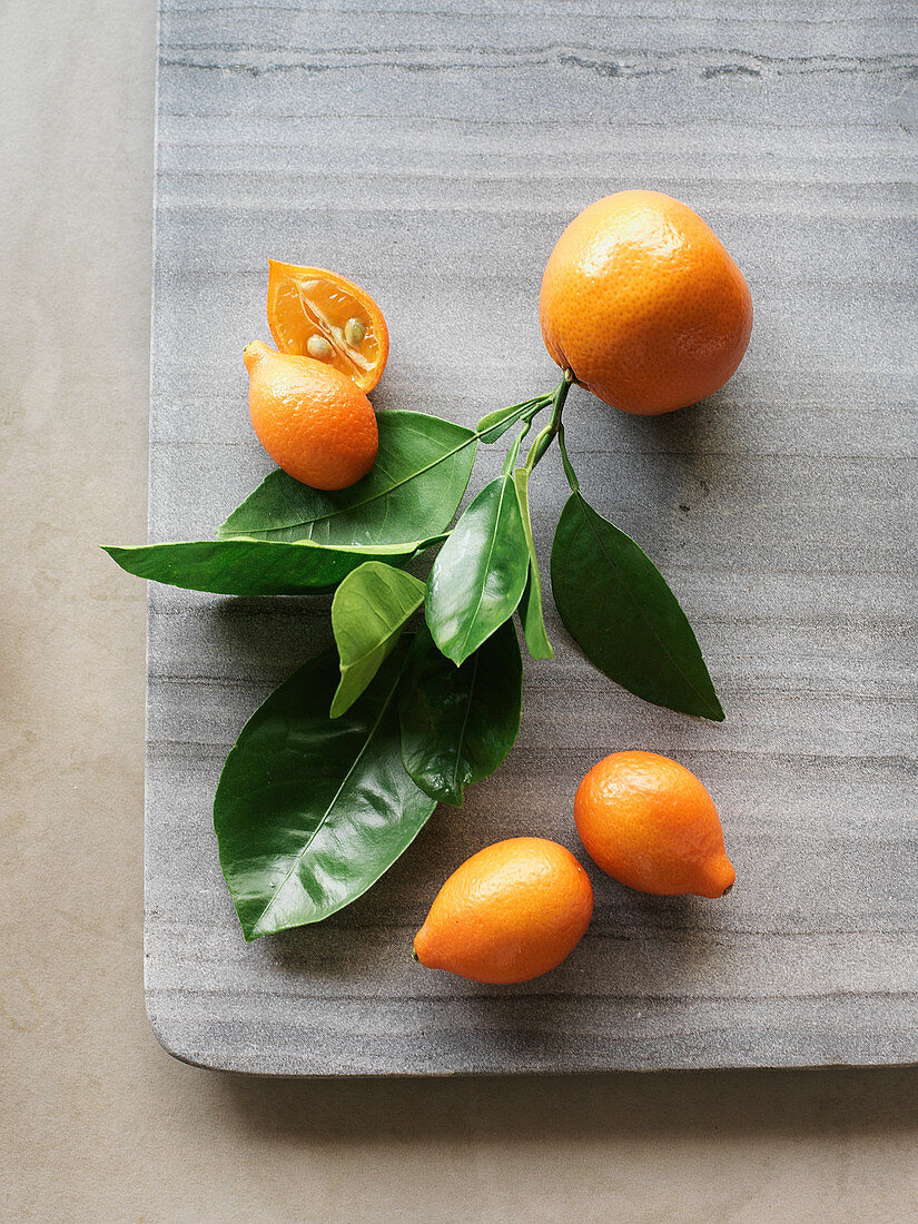 Mandarinen und Mandarinquats mit Blättern