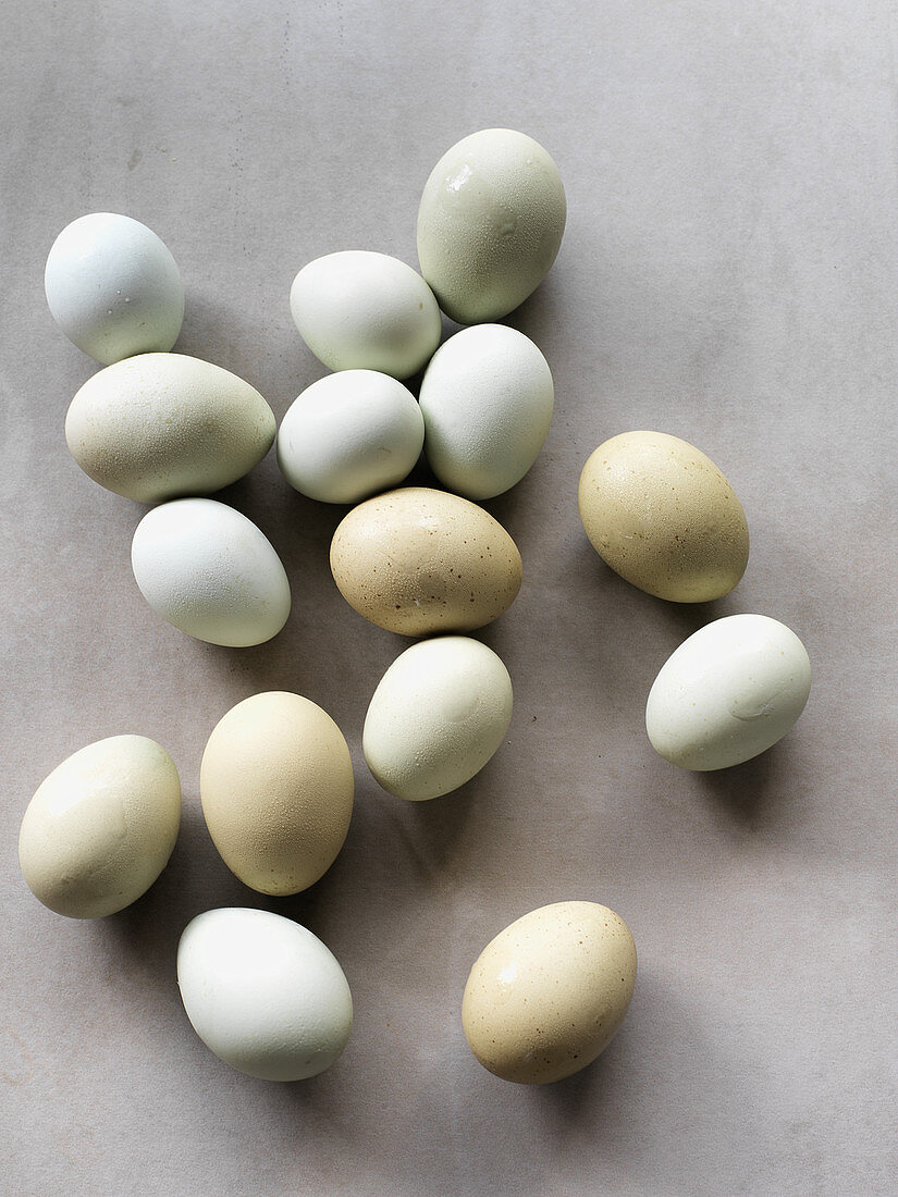 Verschiedene pastellfarbene Eier
