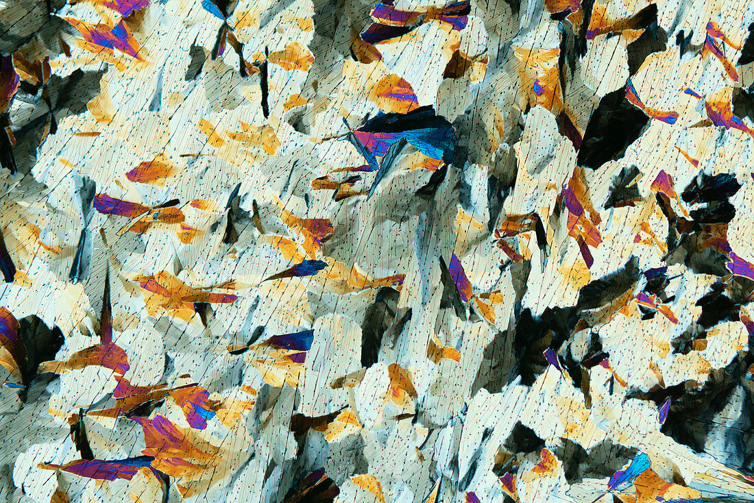 Vitamins and antifebrin, polarised light micrograph