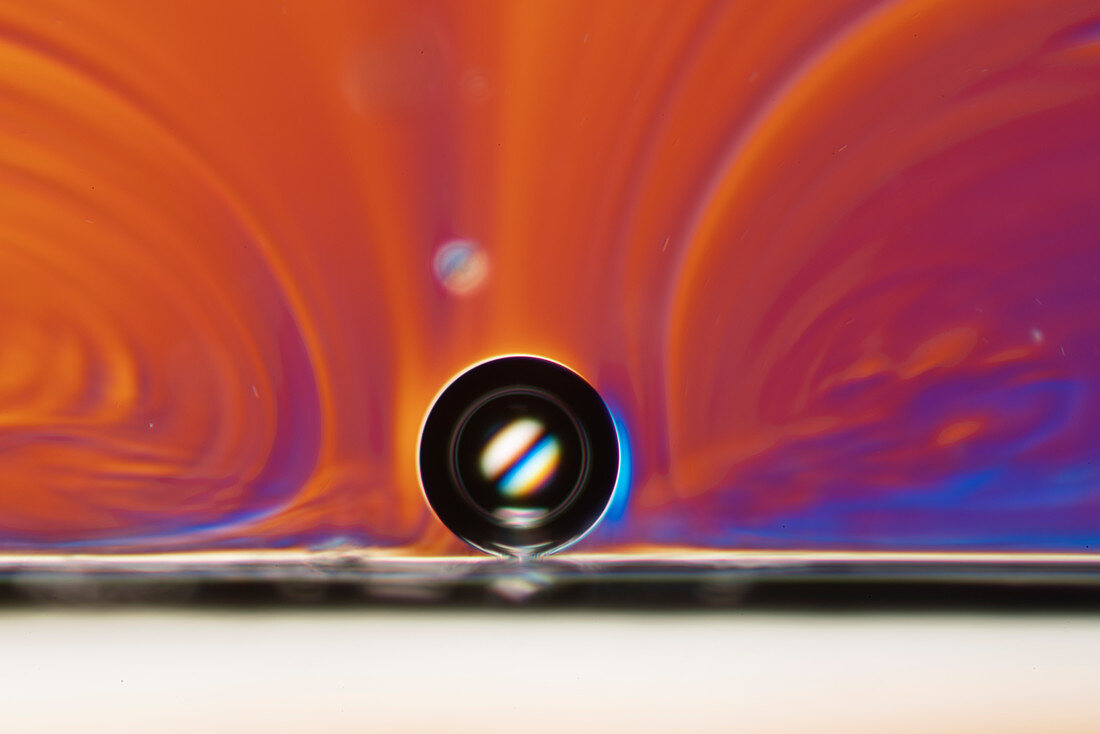 Bubble confined within vortices, light micrograph