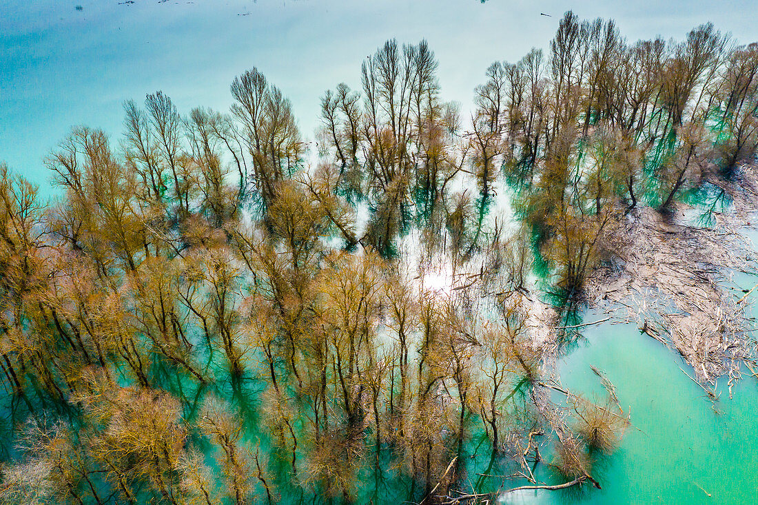 Waterlogged copse, aerial view