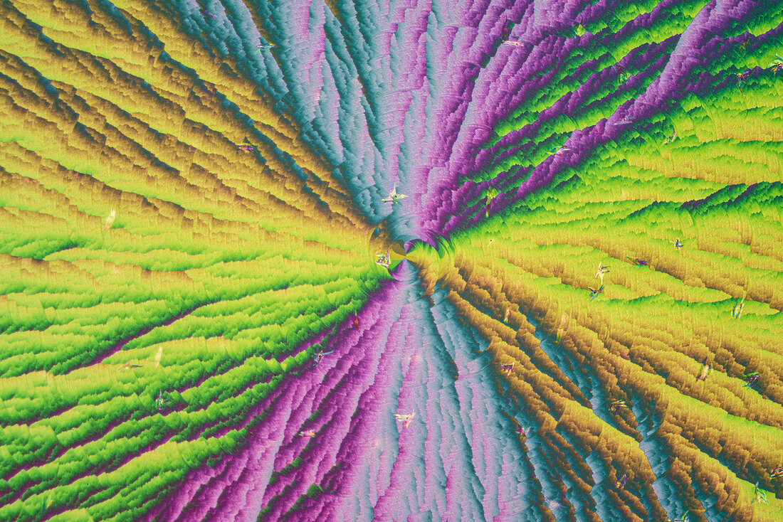 Skin cream, polarised light micrograph