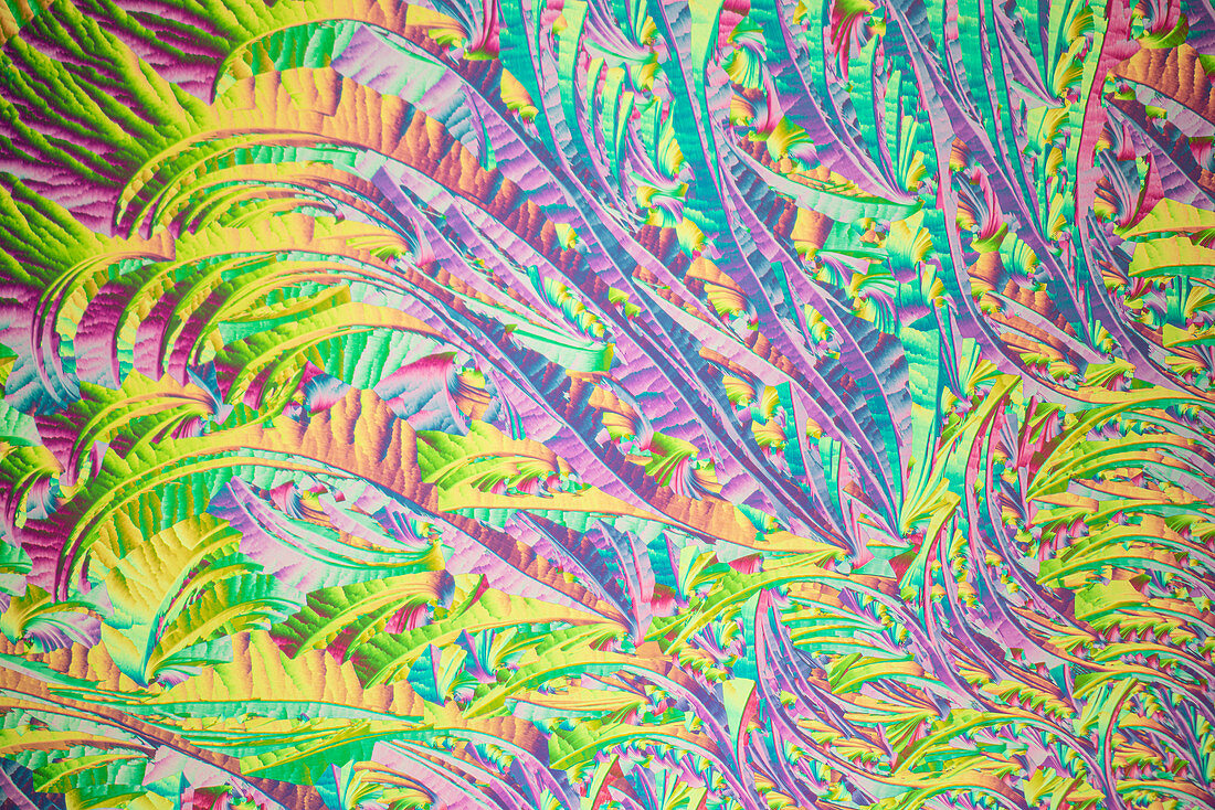 Skin cream, polarised light micrograph