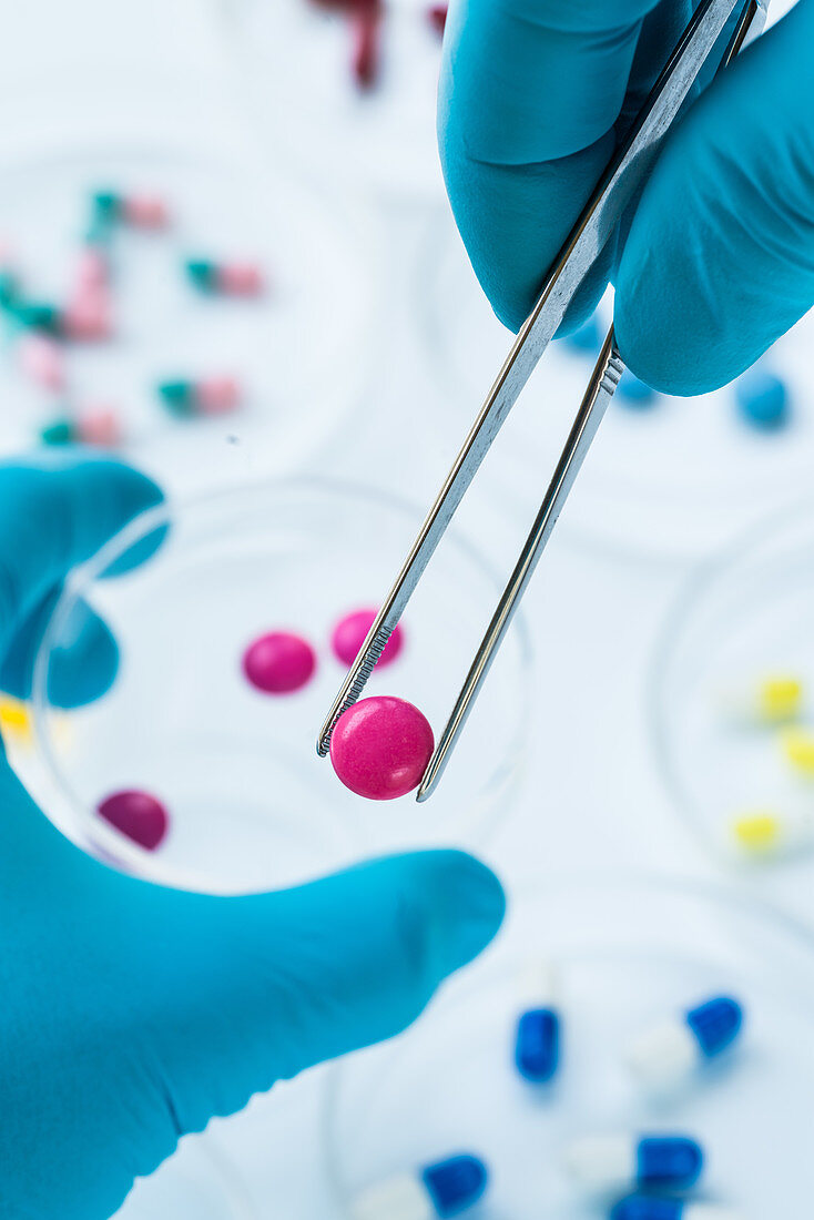 Drugs in petri dishes awaiting analysis