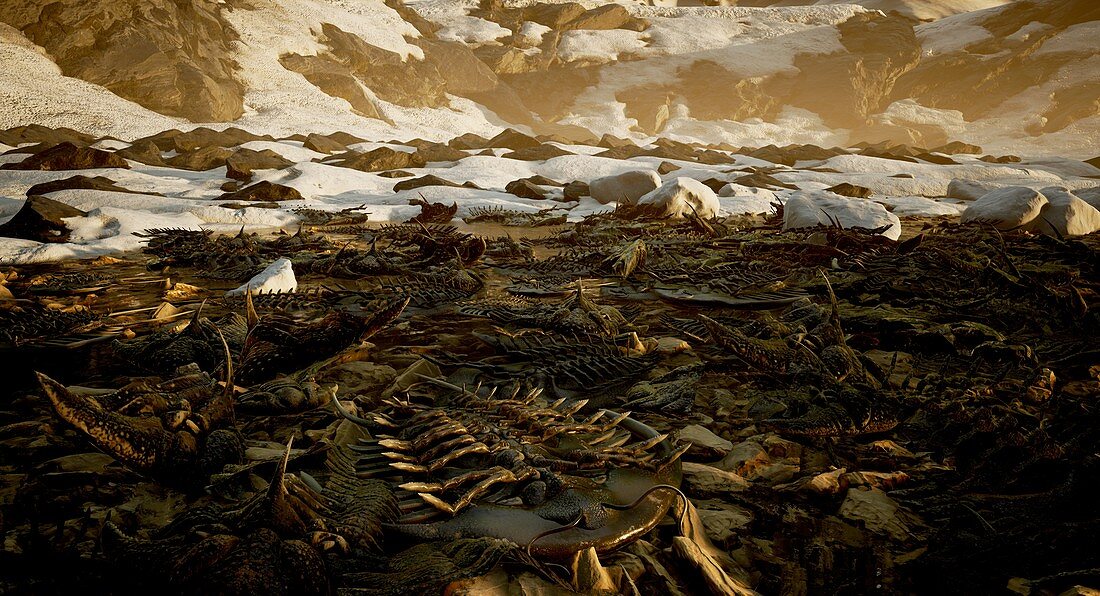 Ordovicianâ€“Silurian mass extinction, illustration