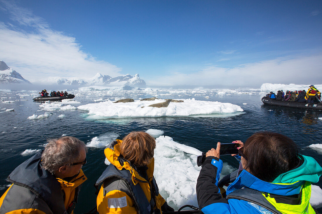 Antarctic tourism