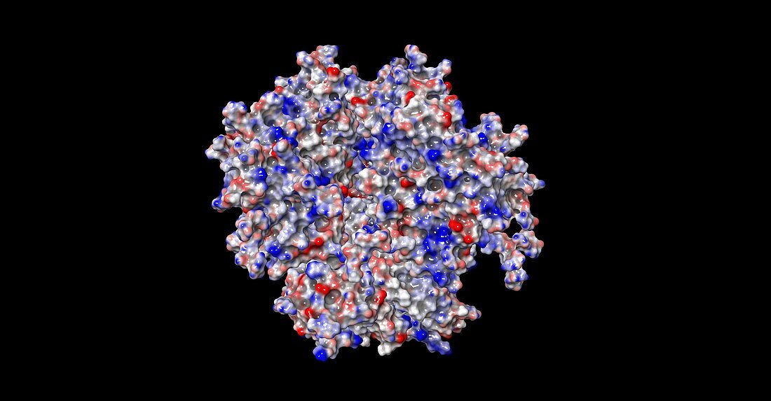 HIV-1 spike protein, computer model