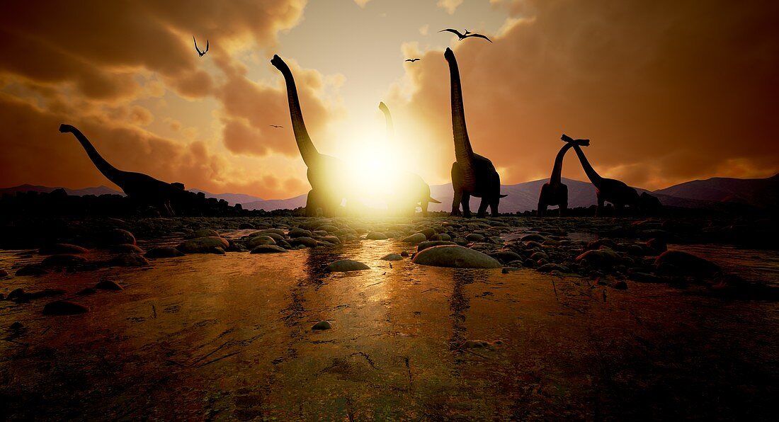 Brachiosaurus dinosaur herd, illustration