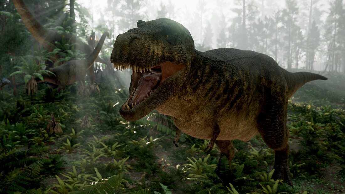 T-rex dinosaur, illustration