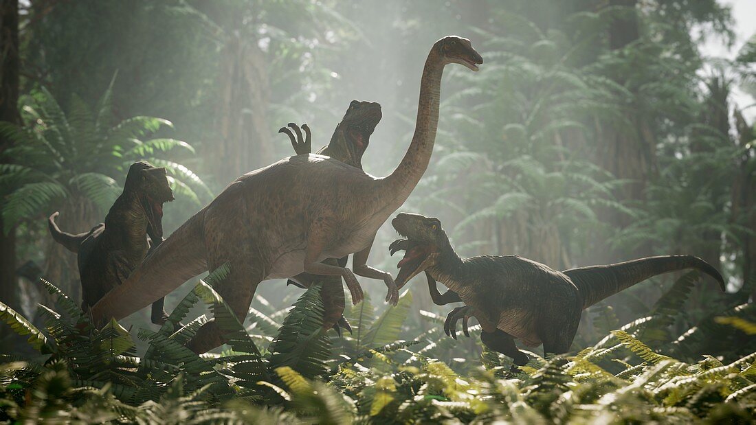 Raptor pack hunting ornithomimus, illustration
