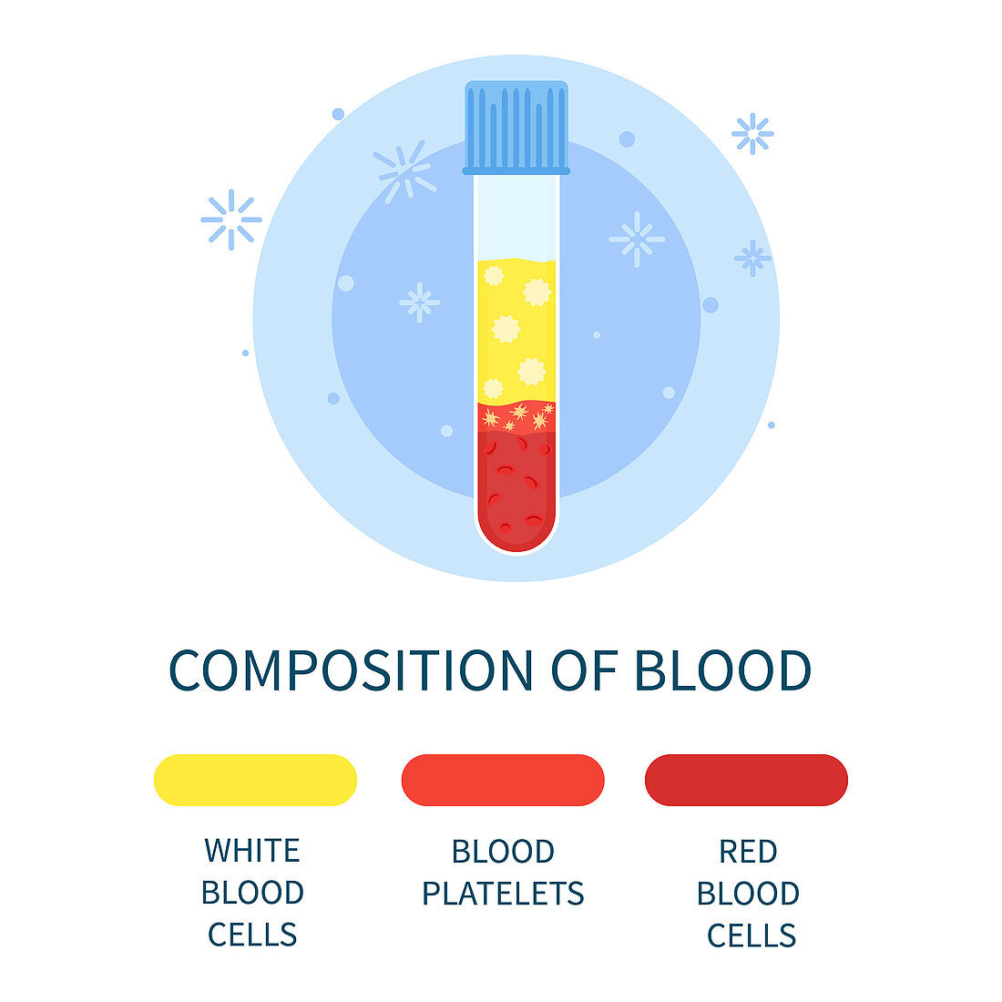 Composition of blood, conceptual illustration