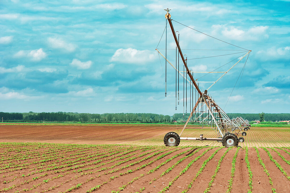 Pivot irrigation system in soybean and corn field