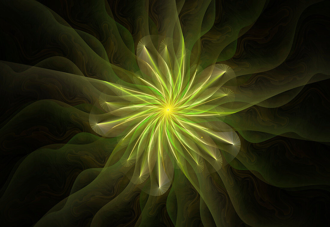 Space flower, conceptual illustration