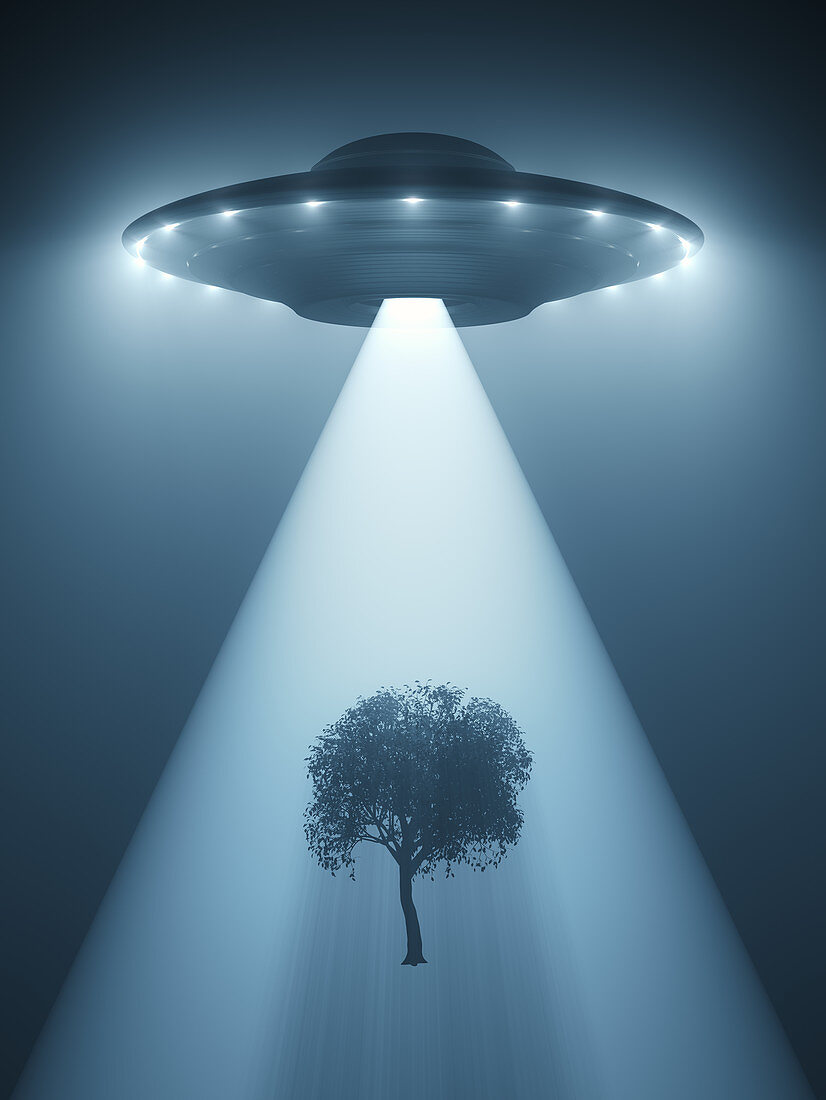 UFO beaming-up tree, illustration