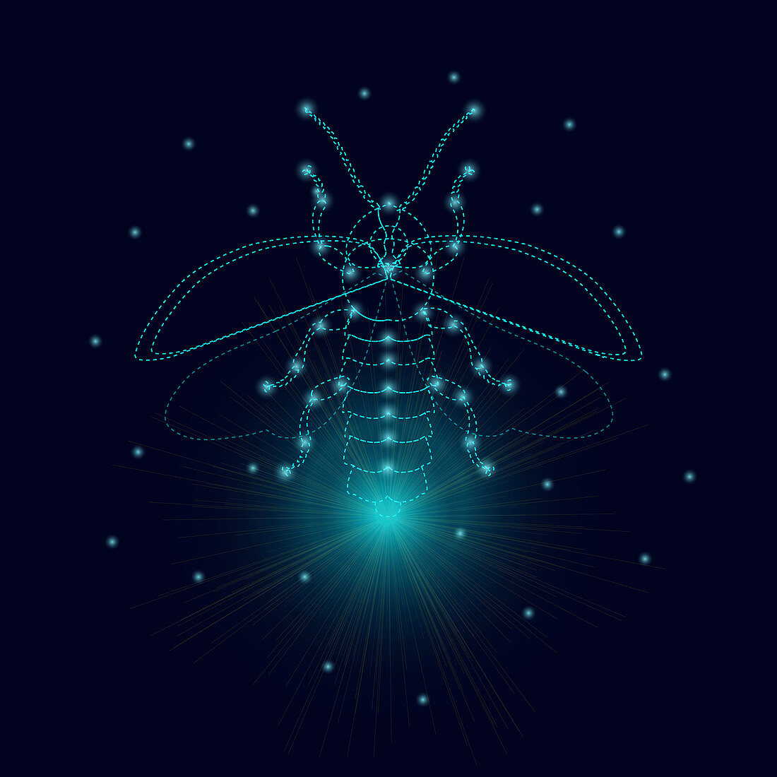 Luminous firefly, conceptual illustration
