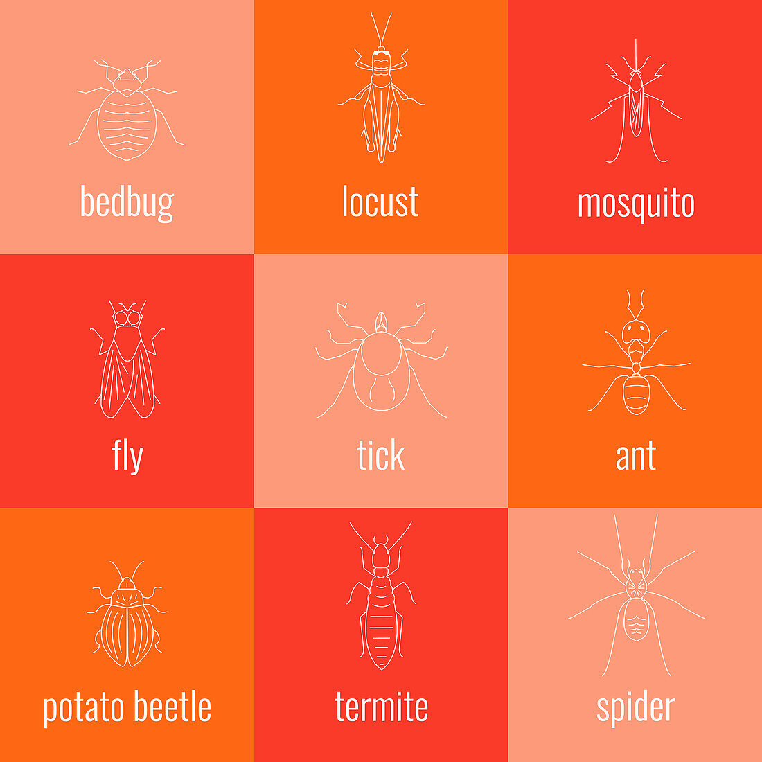 Pests, illustration