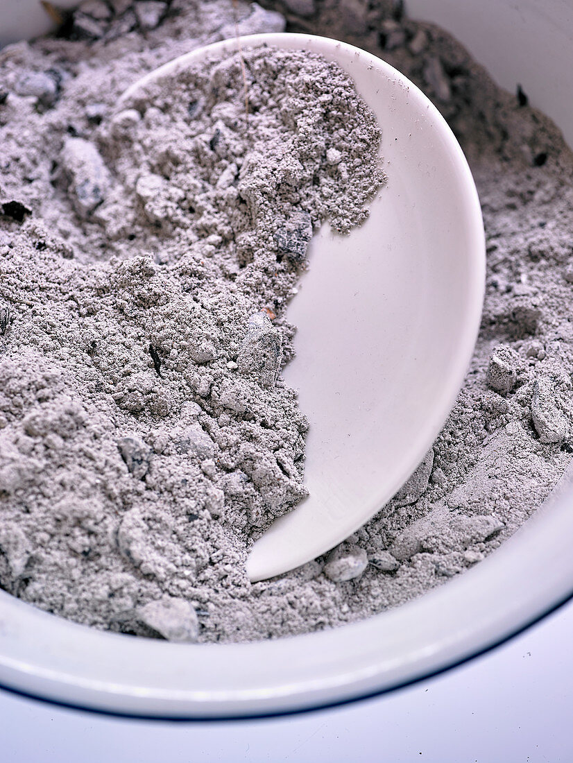 Fine ash on a plate (fertilizer)