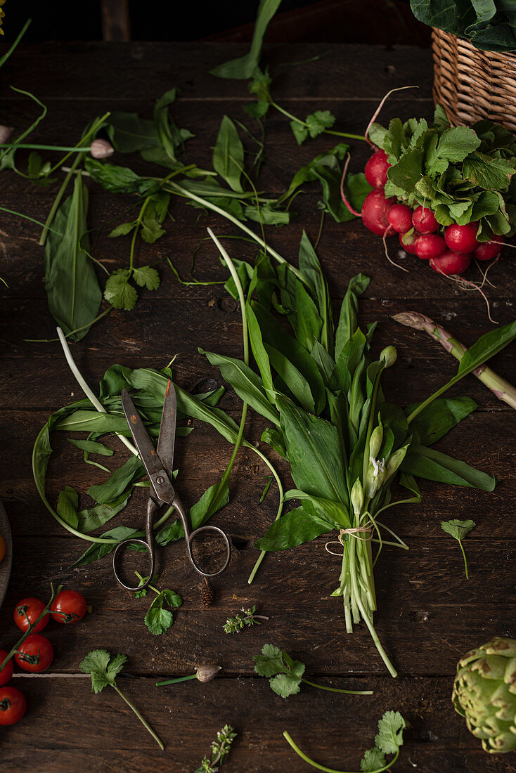 Grüne Salatblätter mit Radieschen, Tomaten und Schere