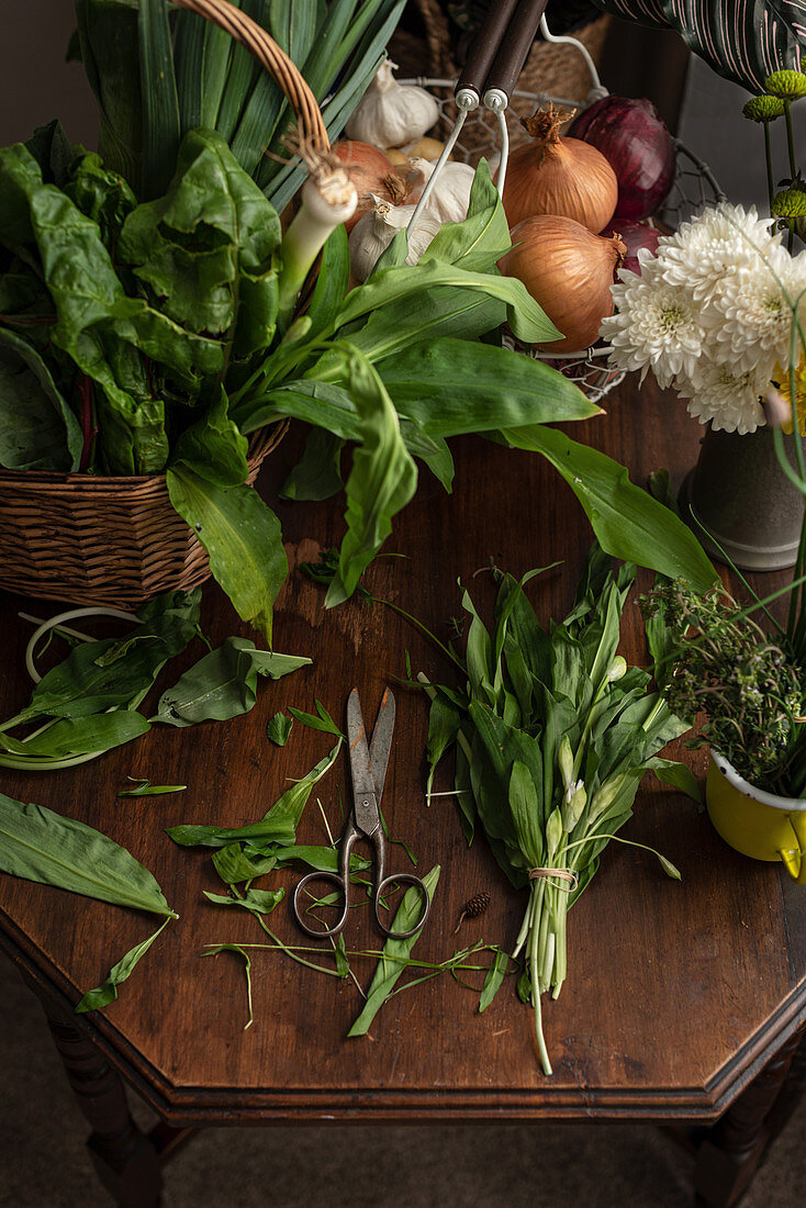 Grüne Salatblätter, Gemüse und Kräuter mit einer Schere