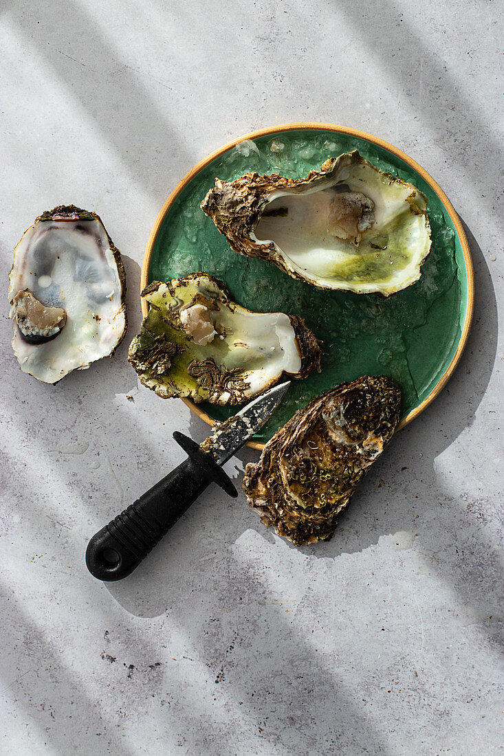 Empty oyster shells and knife