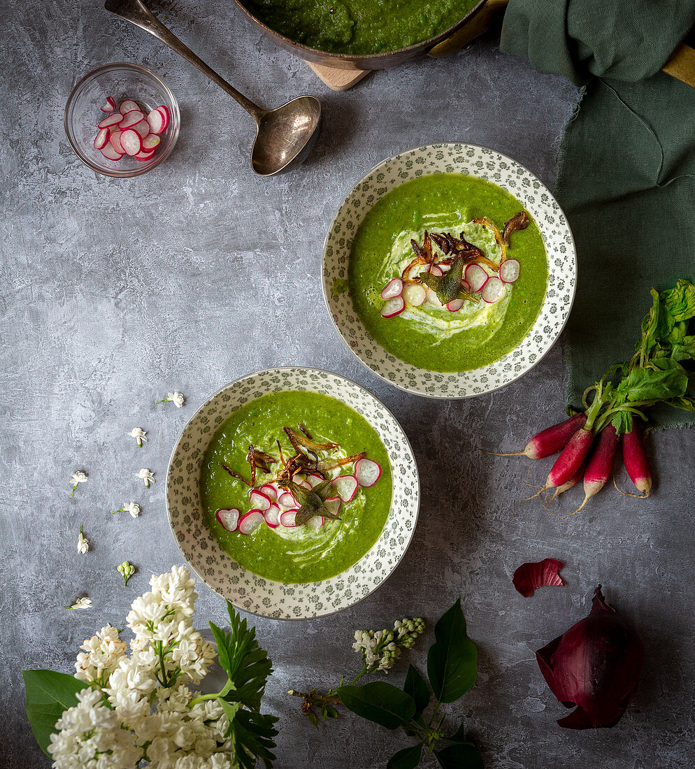 Erbsen-Mangold-Suppe mit knusprigen Zwiebeln und Radieschenscheiben