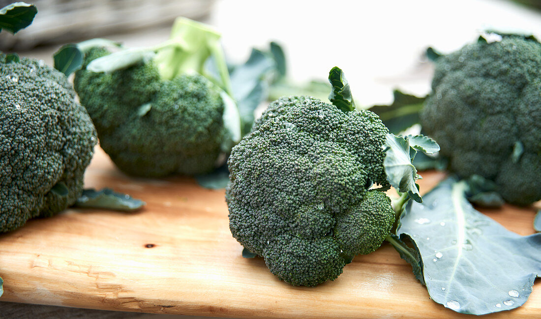 Fresh broccoli on wooden cutting board