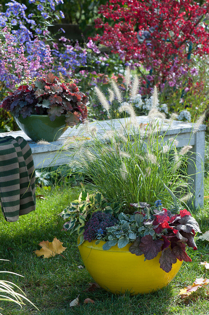 Fountain grass 'Little Bunny', coral bells, Günsel 'Princess Nadja', stonecrop 'Rocky' and Chameleon plant in a yellow bowl